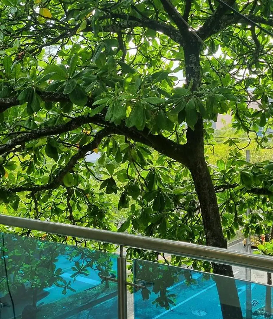 Hotel Ruta365 메딜린 4*,  콜롬비아